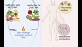 Ilgtermiņa diētas un hormonālais līdzsvars: fakta atdalīšana no daiļliteratūras