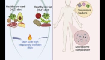 Ilgtermiņa diētas un hormonālais līdzsvars: fakta atdalīšana no daiļliteratūras