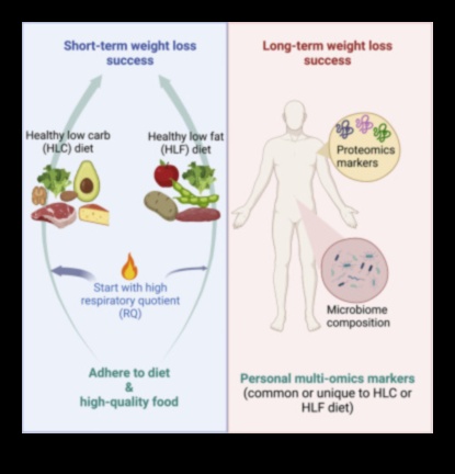 Ilgtermiņa diētas un hormonālais līdzsvars: fakta atdalīšana no daiļliteratūras