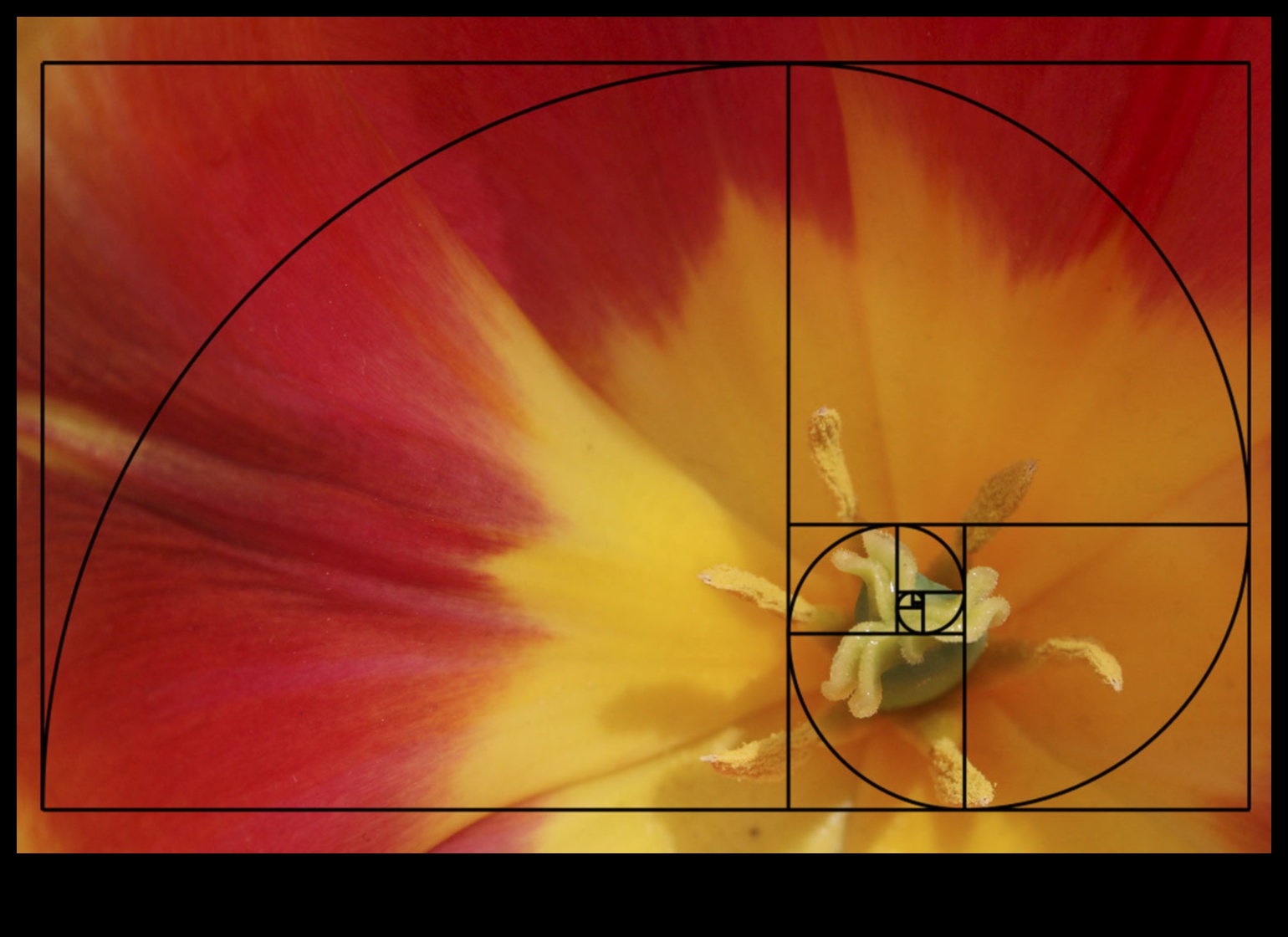DIY fotogrāfijas kompozīcijas metodes: vadošās līnijas un simetrija