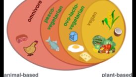 Vegānisms un augstas veiktspējas dzīvesveids: uzplaukums uz augiem