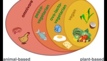 Vegānisms un augstas veiktspējas dzīvesveids: uzplaukums uz augiem
