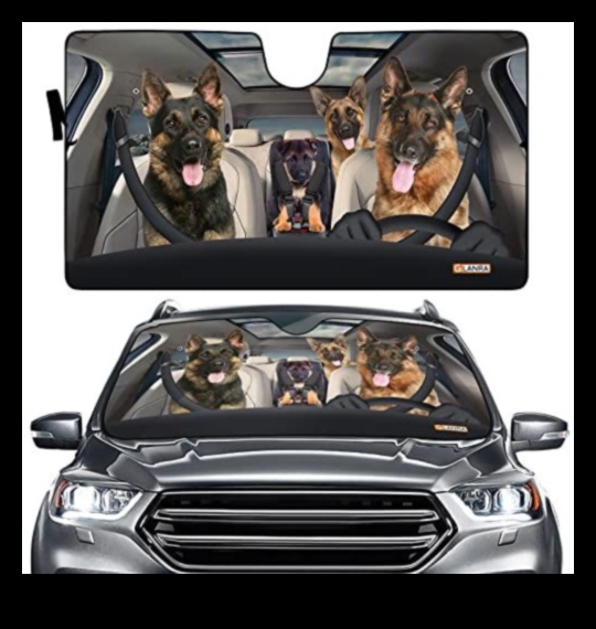 Auto entuziasts: automašīnu aksesuāri automašīnu mīļotājiem