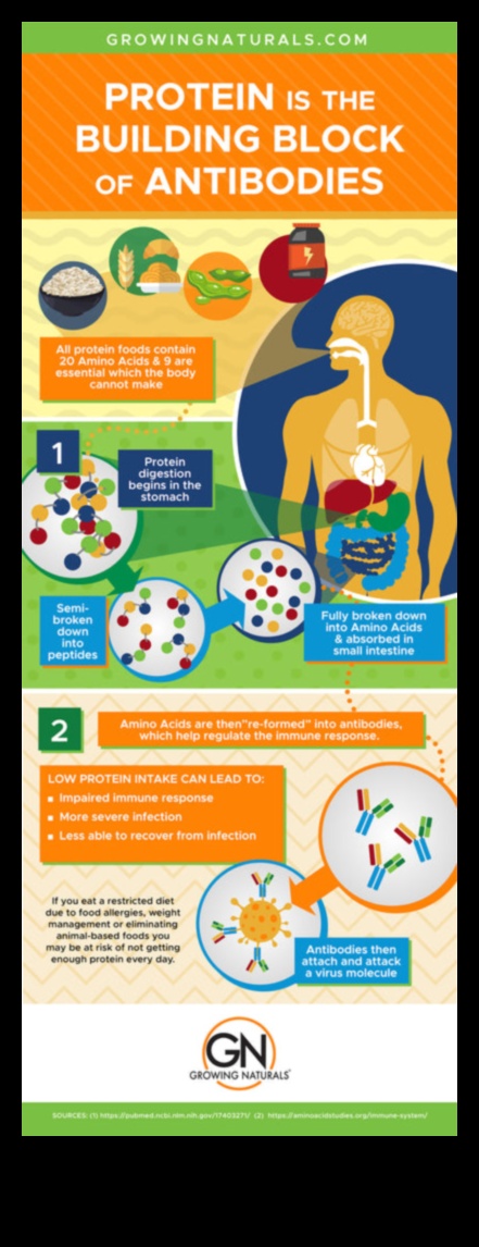 Olbaltumvielas un imūnā veselība: vitālās saiknes izpēte