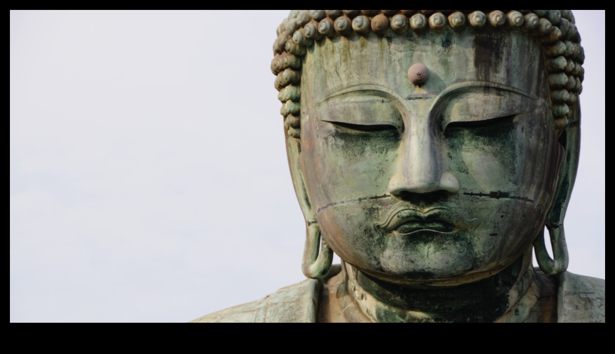 Apzināta meistarība: meditācijas evolūcija