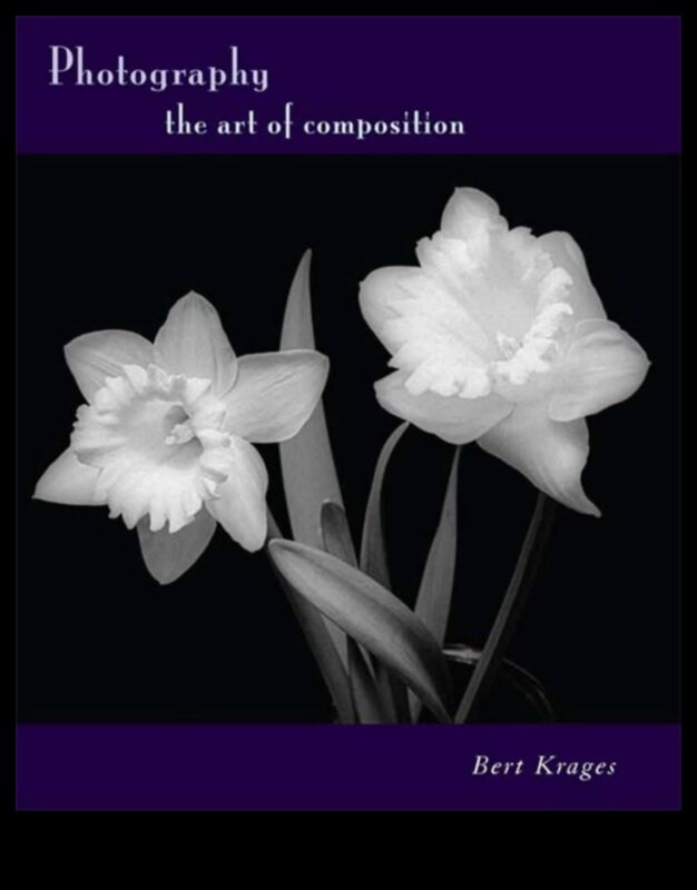 DIY fotogrāfijas kompozīcijas metodes: vadošās līnijas un simetrija