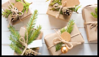 Green Guardian: ilgtspējīgas dāvanas videi draudzīgai sievietei