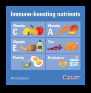 Olbaltumvielas un imūnā veselība: vitālās saiknes izpēte