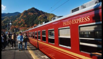 Paleodraudzīgi ceļojumu padomi: turieties ceļā prom no mājām