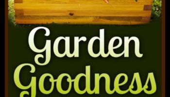 Labums no dārza līdz šķīvīm: svaigi veģetārie gardumi