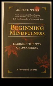 Uzmanīgs sākums: tagadnes apzināšanās ceļojuma uzsākšana