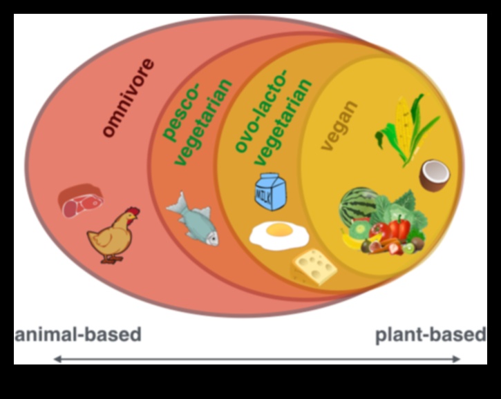 Vegānisms un augstas veiktspējas dzīvesveids: uzplaukums uz augiem